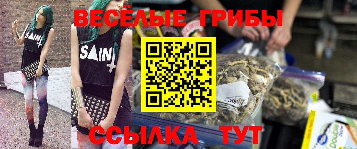 Псилоцибиновые грибы мицелий Полевской