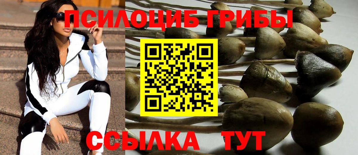 Псилоцибиновые грибы Psilocybine cubensis  Псилоцибиновые грибы прущие грибы  Полевской  Вход с VPN 